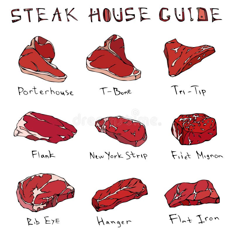 Most Popular Steak Types Set. Beef Cuts. Top Meat Guide for 