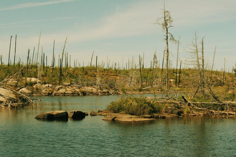 Most w drewnach. Sceneria od canoing granicę Nawadnia parka narodowego, Northwoods w Minnestoa, usa