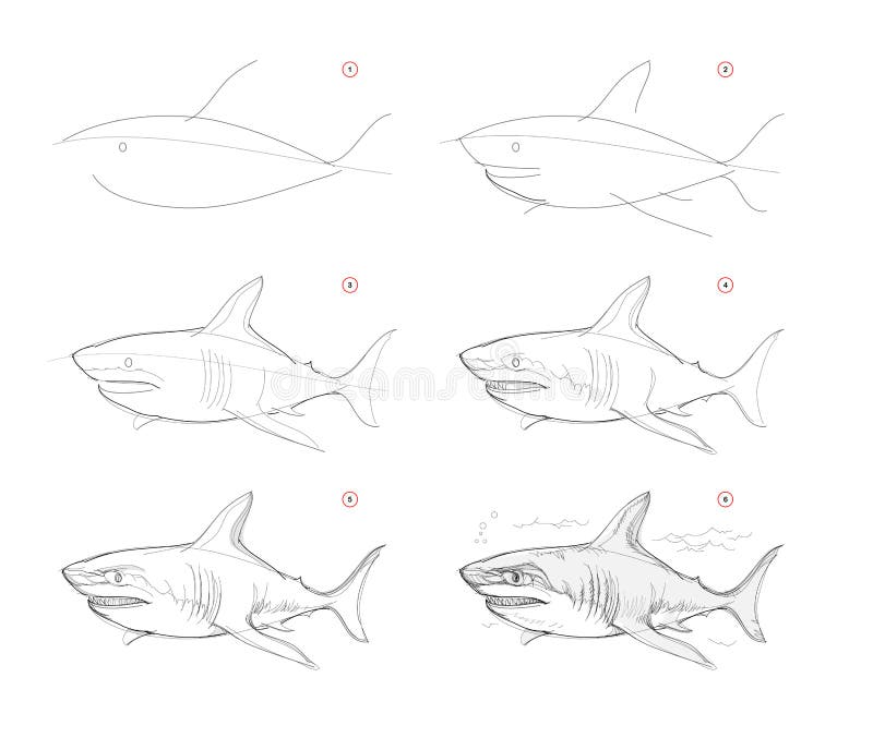 Desenhos de Tubarão - Como desenhar um Tubarão passo a passo