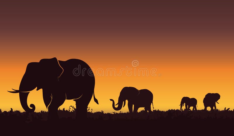 Mostre em silhueta a ilustração da paisagem de um grupo de elefantes Por do sol bonito, fundo da natureza ilustração do vetor