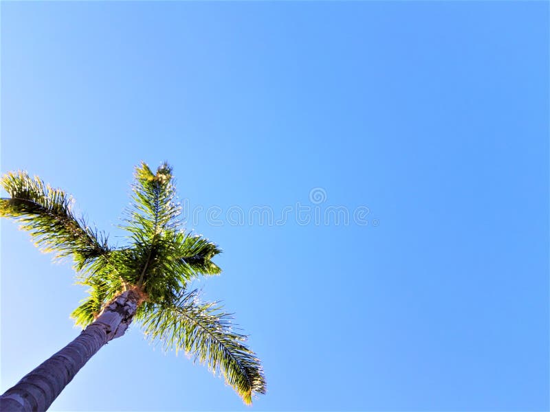 mot blue g?mma i handflatan skytrees arkivfoto mot blue g?mma i handflatan skytrees arkivfoto