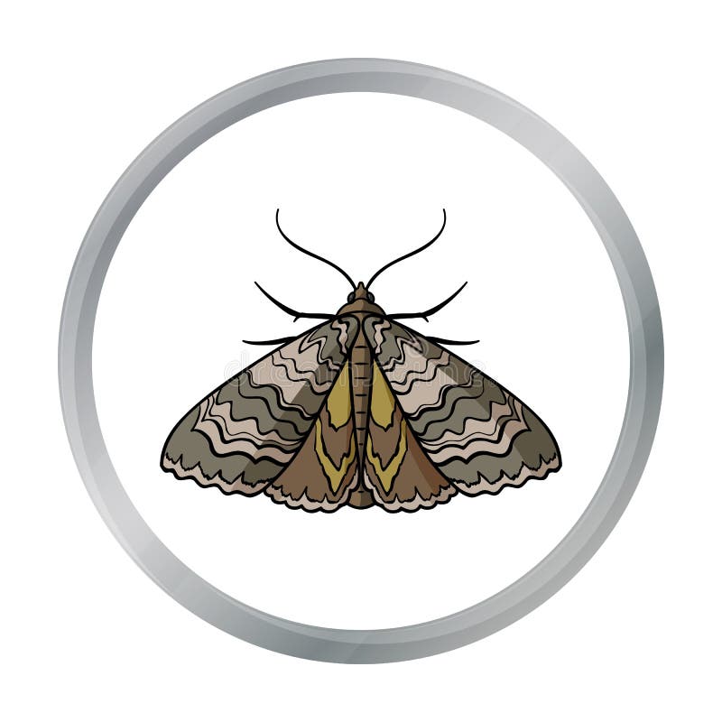 Moth Icon In Cartoon Style Isolated On White Background. Insects Symbol