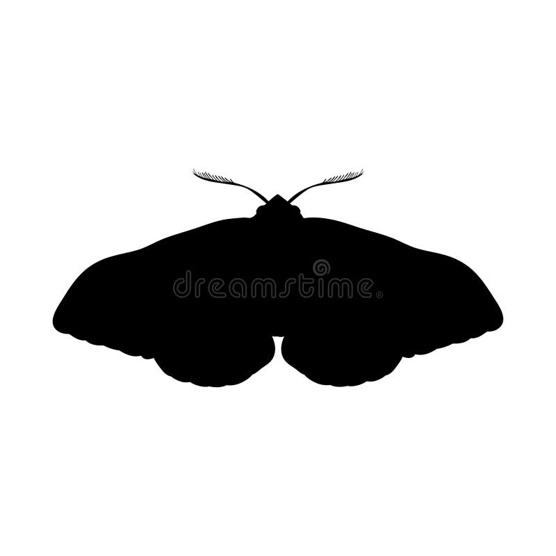 Moth insect black silhouette animal