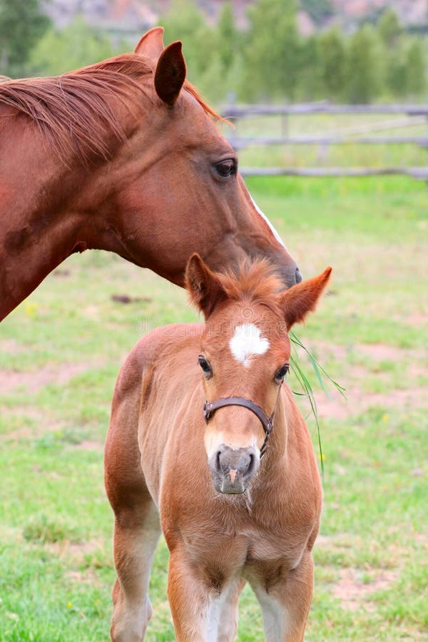 Mother and baby