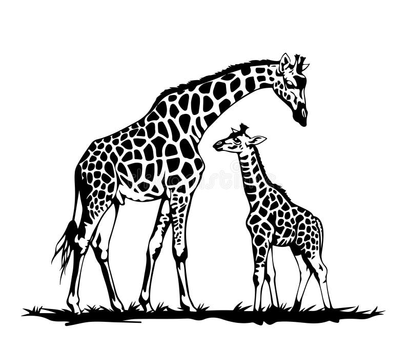 Mother and baby giraffes stock illustration. Illustration of love