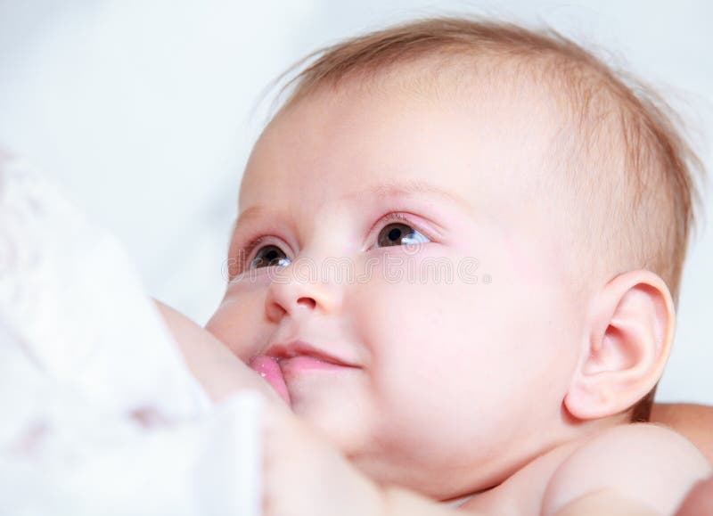 Mother Breast Feeding Newborn Baby Stock Photo Image of eating, milk