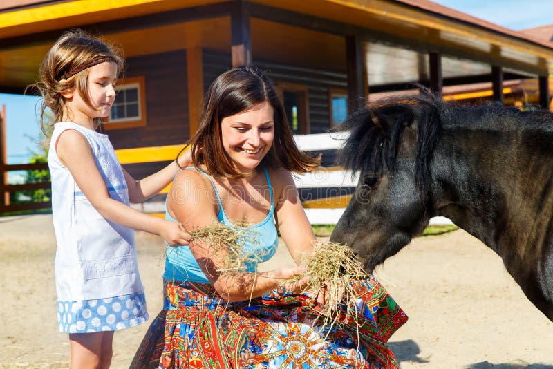Mother and daughter are fed with straw ponies on the farm. stock images