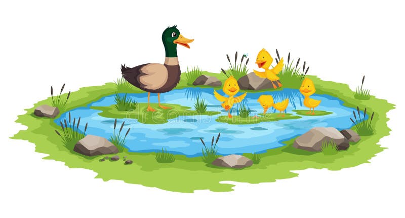 Mother Duck and Little Ducklings Swims on the Water in Pond. Cartoon Wild  Bird with Cute Yellow Babies Stock Vector - Illustration of young,  duckling: 223851449