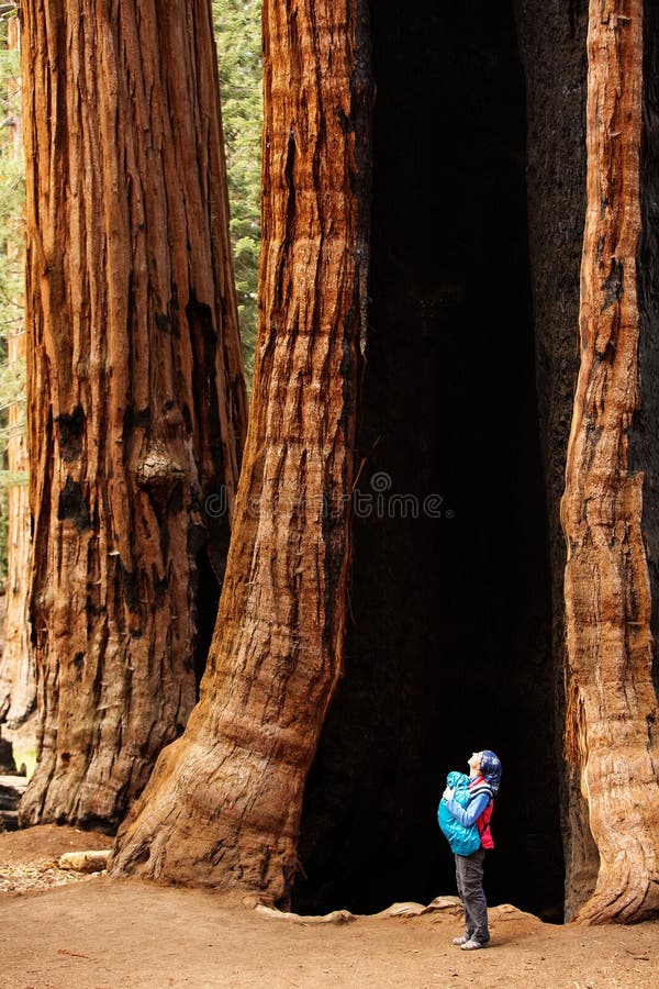 Mother with infant visit Sequoia national park in California