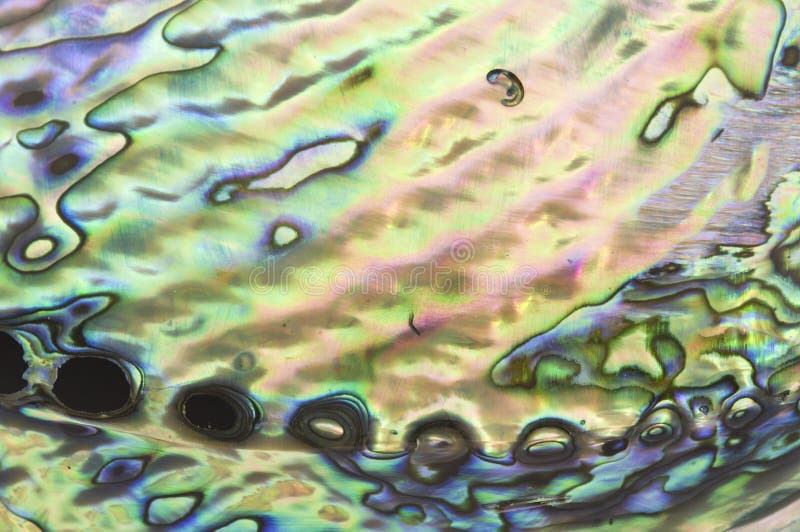 Mother of pearl background stock image Mother of pearl background stock image