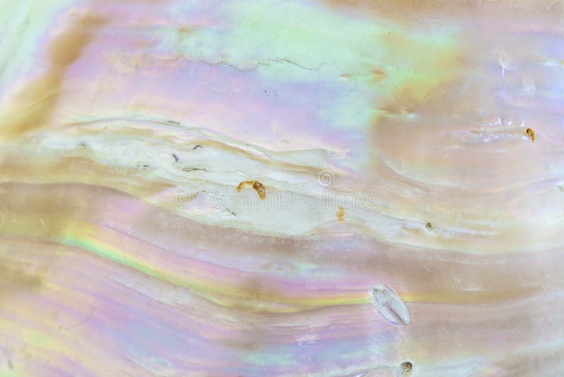 1,989 Mother Pearl Texture Stock Photos - Free & Royalty-Free Stock Photos  from Dreamstime