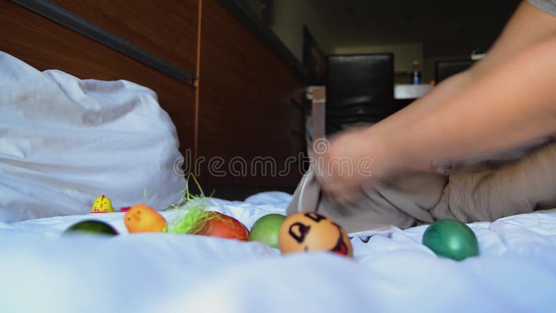 Mother preparing baby for the easter photoshoot stock video footage