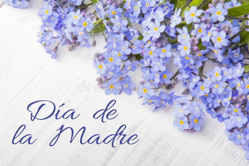 Mother`s day card with Spanish words: Happy Mother`s day,. Mother`s day card with Spanish worsd: Happy Mother`s day, and blue flowers frame on white wooden stock photos