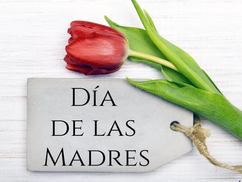 Mother`s day card with Spanish words: Happy Mother`s day,. Mother`s day card with Spanish worsd: Happy Mother`s day, and blue flowers frame on white wooden stock photo