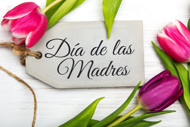 Mother`s day card with Spanish words: Happy Mother`s day,. Mother`s day card with Spanish worsd: Happy Mother`s day, and blue flowers frame on white wooden stock photo