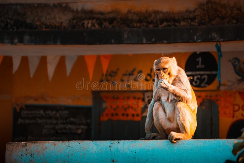 Greatest Thing In The World, The By Henry Drummond