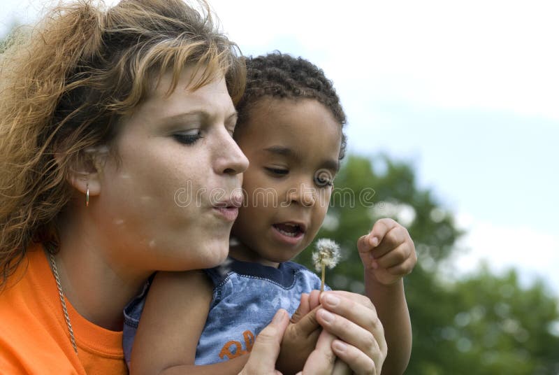 Attractive Caucasian woman with an multi-racial toddler playing with a dandelion. Attractive Caucasian woman with an multi-racial toddler playing with a dandelion