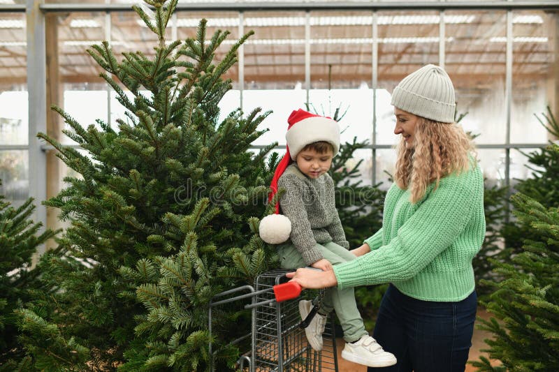 Mother and Son Buy a Christmas Tree at a Market. Stock Photo Image of