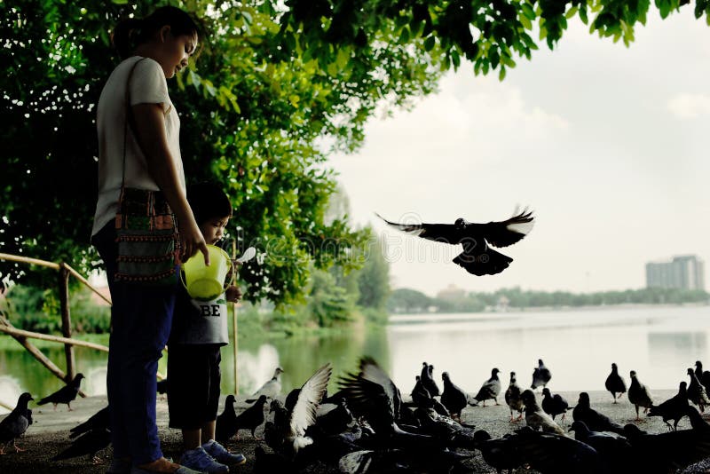 Mother and son feeding pigeons at lake royalty free stock photo