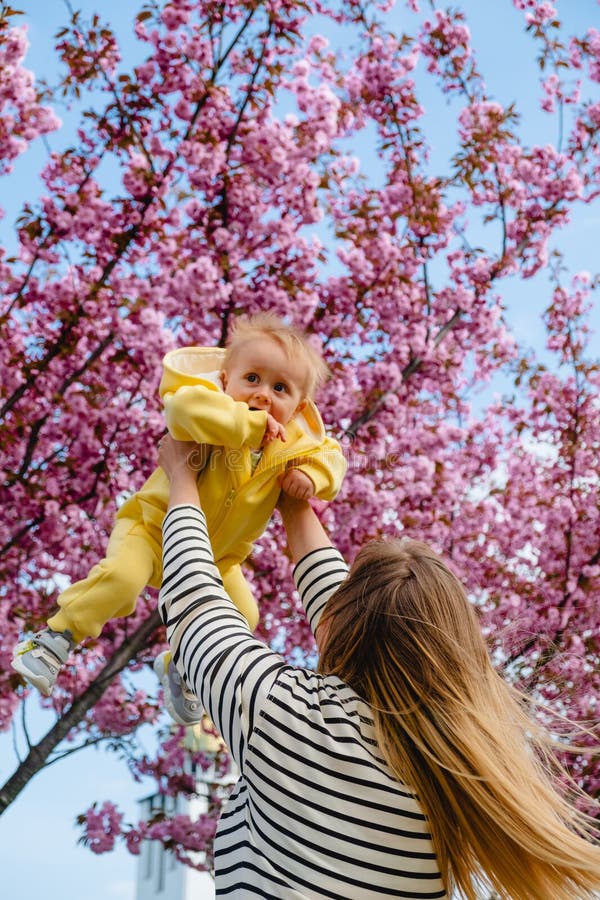 Motherly Love and Warmth Shared Under Blooming Cherry Trees Stock Image Image of seasonal