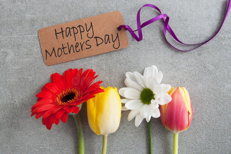 Mothers day flowers stock photo. Image of ribbon, closeup 141756920