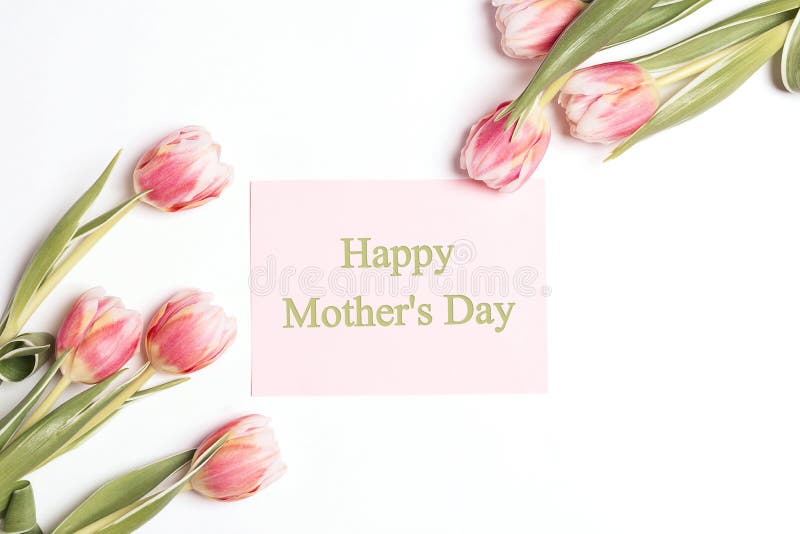 Mothers day message with tulips flowers on white background royalty free stock images Mothers day message with tulips flowers on white background royalty free stock images