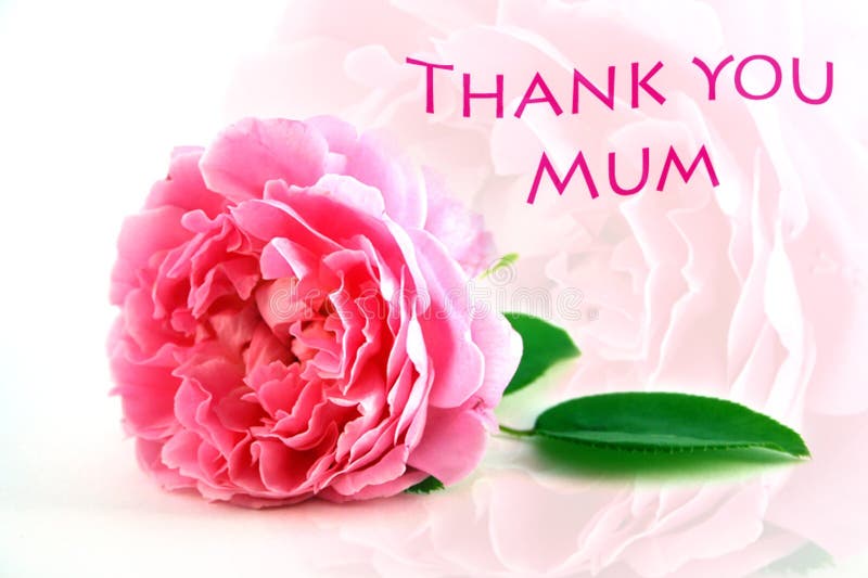 Happy mother's Day картинки thank you Mummy. Thank mother