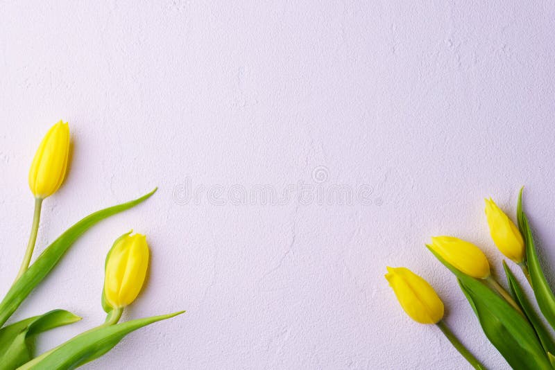 Mothers day, valentine, spring flower background royalty free stock photography Mothers day, valentine, spring flower background royalty free stock photography