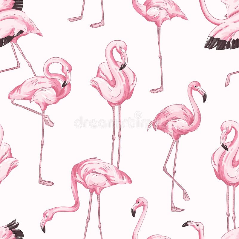 Motif transparent coloré avec flamant rose Fond réaliste dessiné à la main avec des oiseaux tropicaux debout à différents endroit illustration libre de droits Motif transparent coloré avec flamant rose Fond réaliste dessiné à la main avec des oiseaux tropicaux debout à différents endroit illustration libre de droits