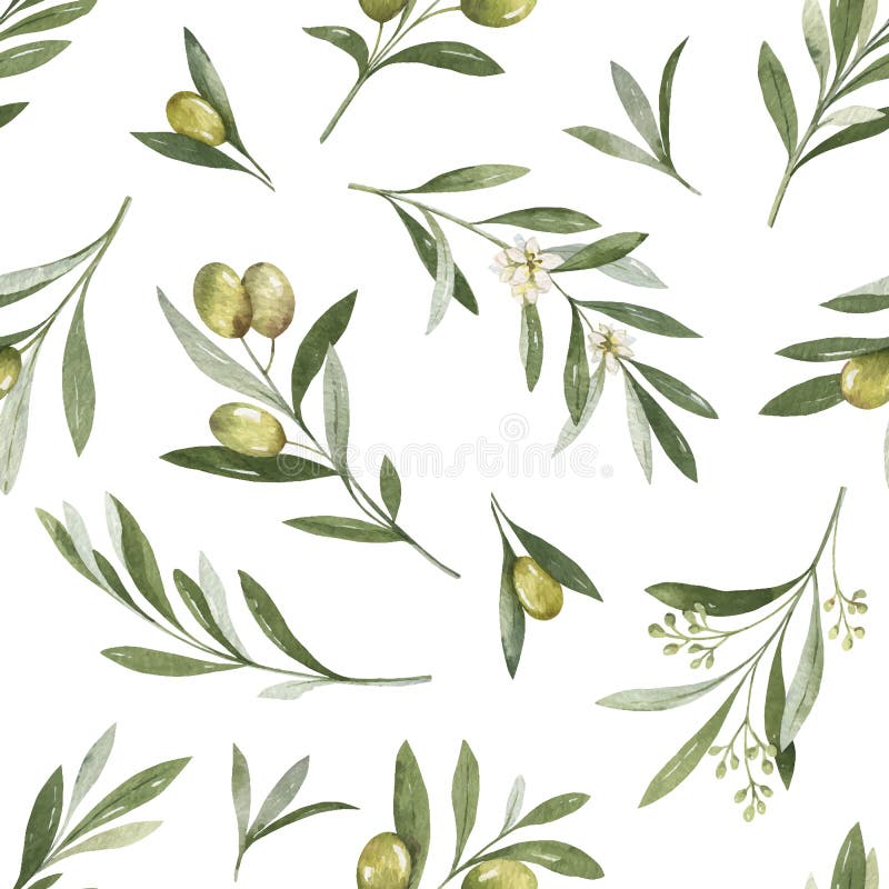 Motif vectoriel de l'aquarelle coulisse les branches et les feuilles d'olivier