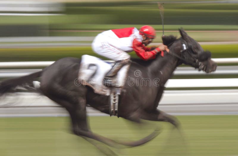 Motion Blur of Racing Jockey and Black Thoroughbred Horse. Motion Blur of Racing Jockey and Black Thoroughbred Horse.