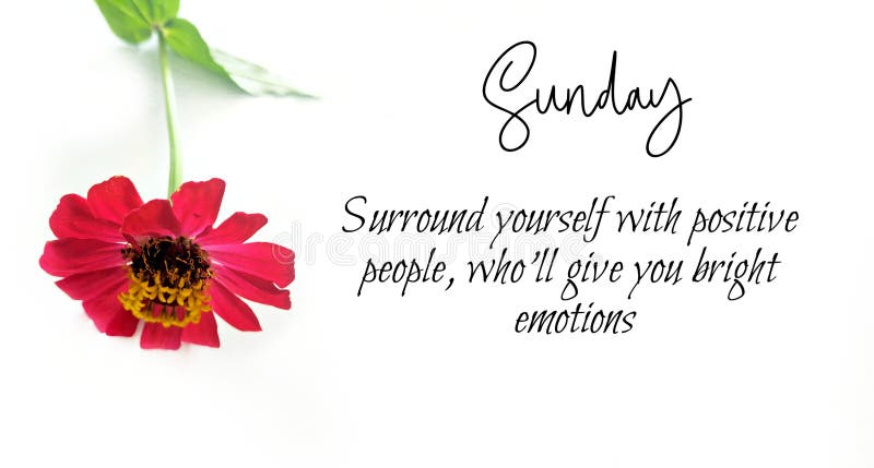 ᐅ143+ Positive Happy Sunday Quotes And Images Free