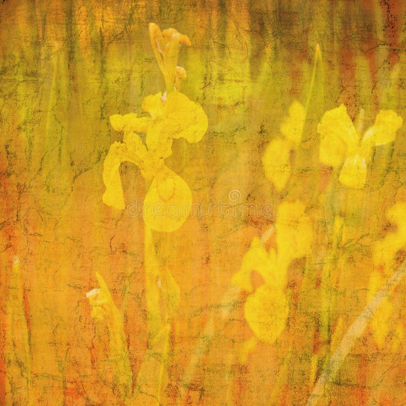 Grunge textured patterned abstract background with crackled daffodil flower design motif in spring earth tones of yellow, gold, orange, brown and green. Grunge textured patterned abstract background with crackled daffodil flower design motif in spring earth tones of yellow, gold, orange, brown and green