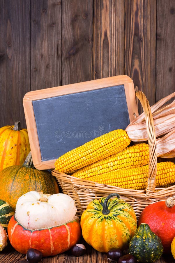 Motivo di festival del raccolto di autunno con le varie zucche davanti ad un canestro con le pannocchie di granturco su un fondo immagini stock Motivo di festival del raccolto di autunno con le varie zucche davanti ad un canestro con le pannocchie di granturco su un fondo immagini stock