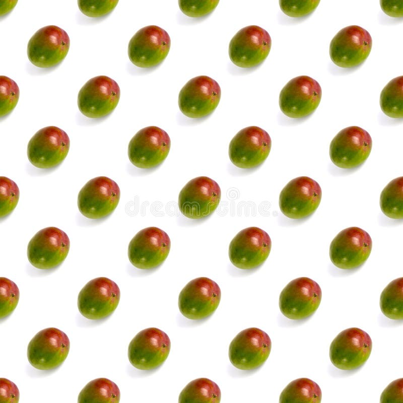 Motivo di tessitura della carta da parati isolata in fondo bianco avocado fotografia stock