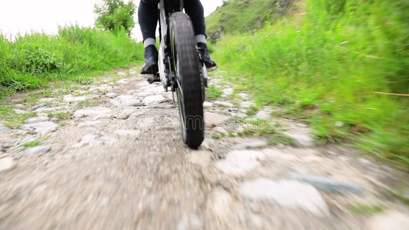 Motociclista andando em trilha na floresta verde