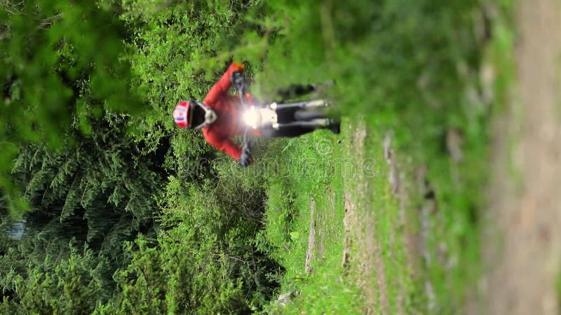 Motociclista andando em trilha na floresta verde