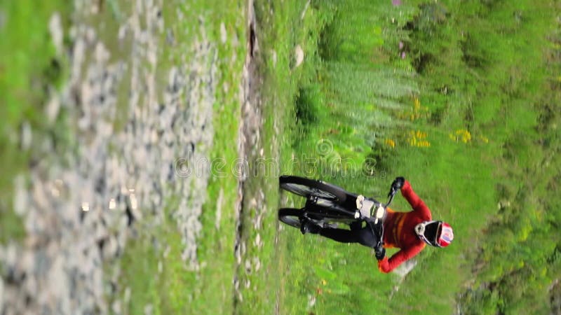 Motociclista andando em trilha na floresta verde