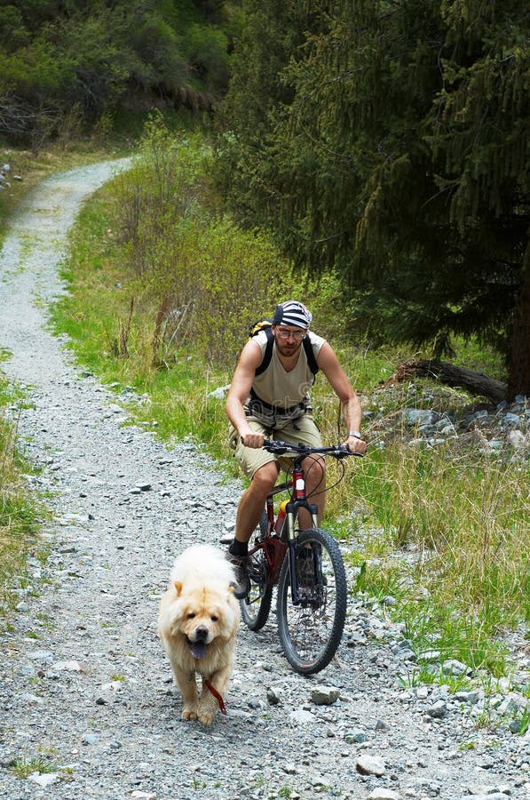 Motociclista e cane della montagna sulla vecchia strada in montagna fotografie stock libere da diritti Motociclista e cane della montagna sulla vecchia strada in montagna fotografie stock libere da diritti