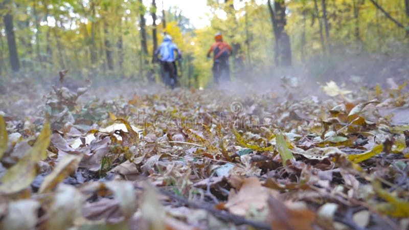 Motociclisti in pista nella foresta autunnale. le motociclette attraversano il sentiero di legno per far saltare le foglie secche