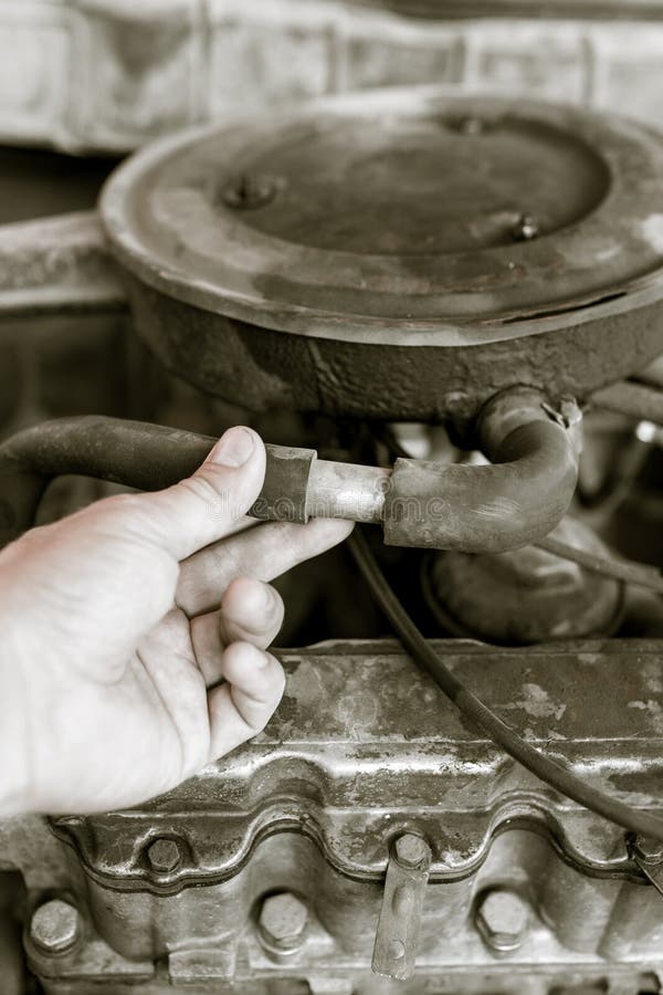 Motor and Hoses Under the Hood of Car Stock Photo Image of auto