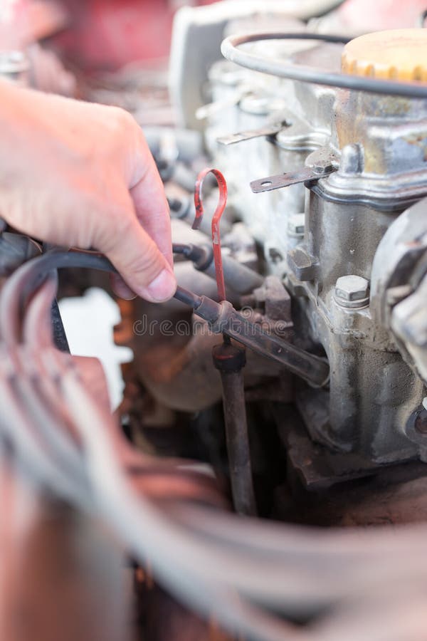 Motor and Hoses Under the Hood of Car Stock Image Image of