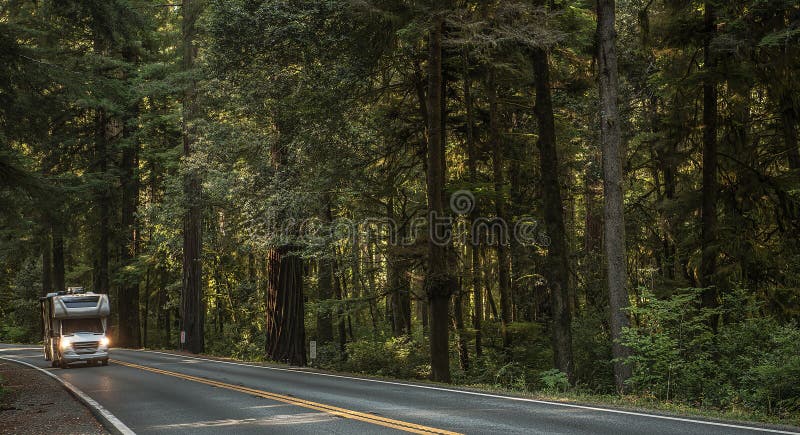 Motorhome Camper Van on the Scenic Woodland Highway