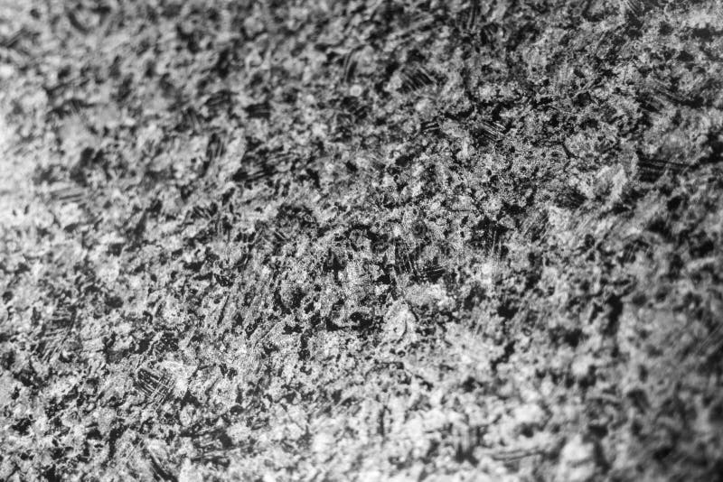 1,001 Black White Backdrops Stock Photos Free & RoyaltyFree Stock