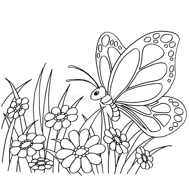 Motyla i kwiatu kreskówki kolorystyki strony wektor