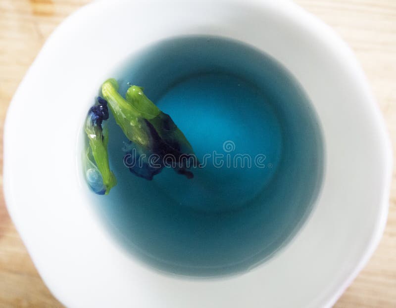 Motyliego grochu kwiatu herbata obraz stock Motyliego grochu kwiatu herbata obraz stock