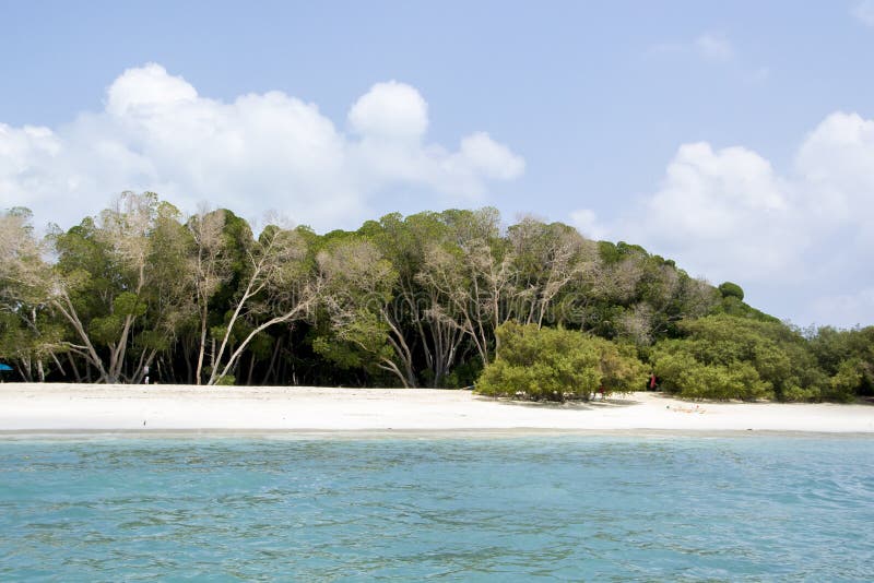 Beautiful beach near Djibouti, East Africa Moucha Masakali. Beautiful beach near Djibouti, East Africa Moucha Masakali