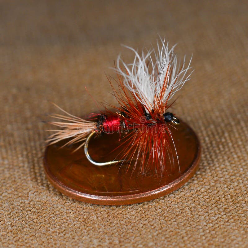 10 X Mouche Sèche Wulff Grise H10/12/14/16 Fliegen Mosche Dry Fly - Foto 6