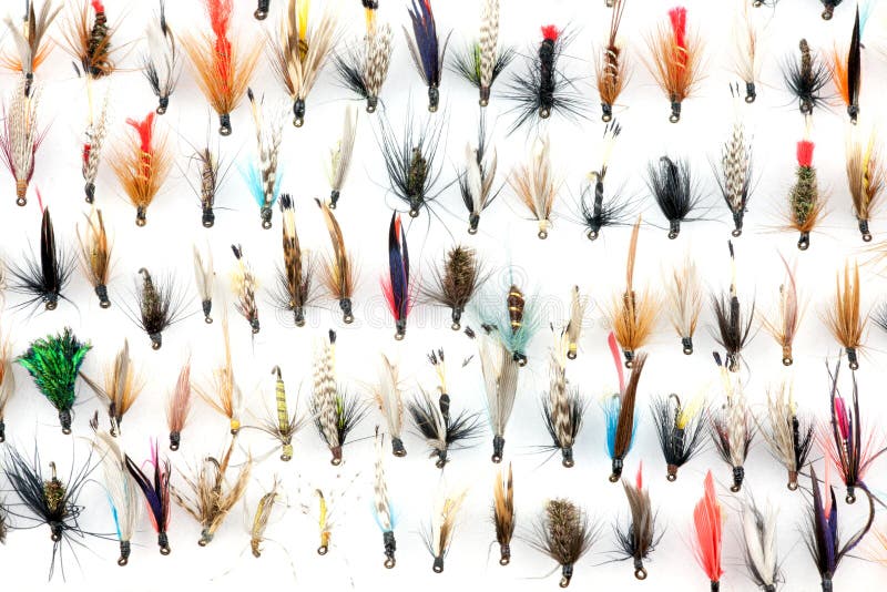 A selection of Traditional Trout Fishing Flies in Fly Box. A selection of Traditional Trout Fishing Flies in Fly Box