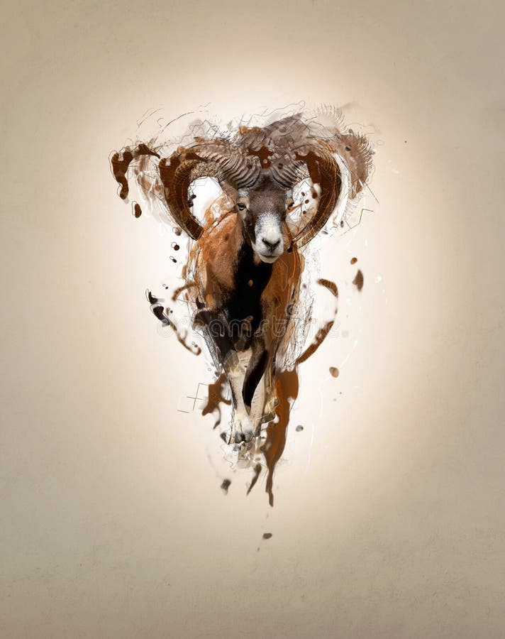 Mouflon, abstract animal concept stock photography